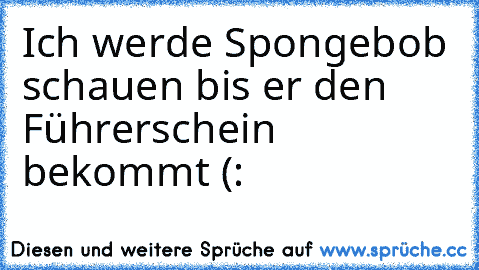 Ich werde Spongebob schauen bis er den Führerschein bekommt (: