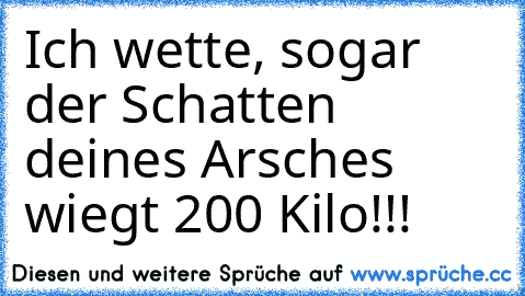 Ich wette, sogar der Schatten deines Arsches wiegt 200 Kilo!!!