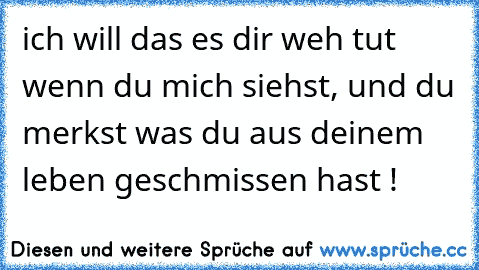 ich will das es dir weh tut wenn du mich siehst, und du merkst was du aus deinem leben geschmissen hast !