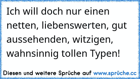 Ich will doch nur einen netten, liebenswerten, gut aussehenden, witzigen, wahnsinnig tollen Typen!