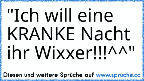 "Ich will eine KRANKE Nacht ihr Wixxer!!!^^"
