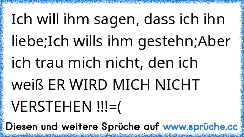 Ich will ihm sagen, dass ich ihn liebe;
Ich will´s ihm gestehn;
Aber ich trau mich nicht, den ich weiß ER WIRD MICH NICHT VERSTEHEN !!!
=(