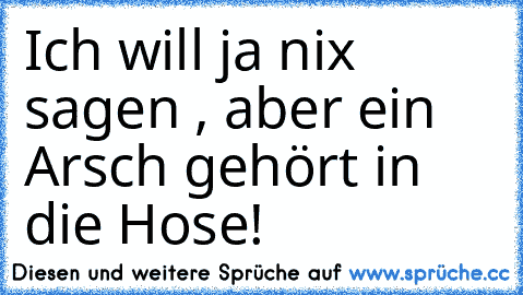 Ich will ja nix sagen , aber ein Arsch gehört in die Hose!