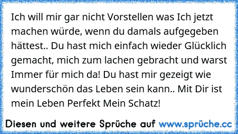 Ich will mir gar nicht Vorstellen was Ich jetzt machen würde, wenn du damals aufgegeben hättest.. Du hast mich einfach wieder Glücklich gemacht, mich zum lachen gebracht und warst »Immer« für mich da! Du hast mir gezeigt wie wunderschön das Leben sein kann.. Mit Dir ist mein Leben Perfekt Mein Schatz!