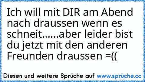 Ich will mit DIR am Abend nach draussen wenn es schneit......aber leider bist du jetzt mit den anderen Freunden draussen =((