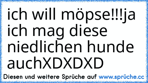 ich will möpse!!!
ja ich mag diese niedlichen hunde auch
XDXDXD