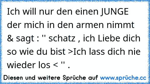 Ich will nur den einen JUNGE der mich in den armen nimmt & sagt : '' schatz , ich Liebe dich so wie du bist >Ich lass dich nie wieder los < '' ♥.♥