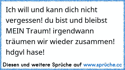 Ich will und kann dich nicht vergessen! du bist und bleibst MEIN Traum! irgendwann träumen wir wieder zusammen! hdgvl hase! 