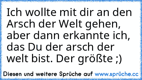 Ich wollte mit dir an den Arsch der Welt gehen, aber dann erkannte ich, das Du der arsch der welt bist. Der größte ;)