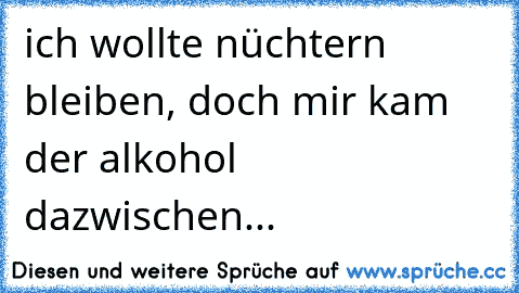 ich wollte nüchtern bleiben, doch mir kam der alkohol dazwischen...