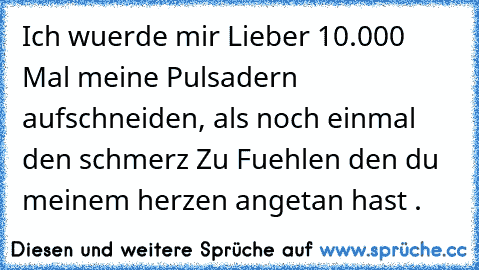 Ich wuerde mir Lieber 10.000 Mal meine Pulsadern aufschneiden, als noch einmal den schmerz Zu Fuehlen den du meinem herzen angetan hast .