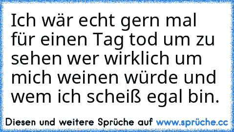 Ich wär echt gern mal für einen Tag tod um zu sehen wer wirklich um mich weinen würde und wem ich scheiß egal bin.