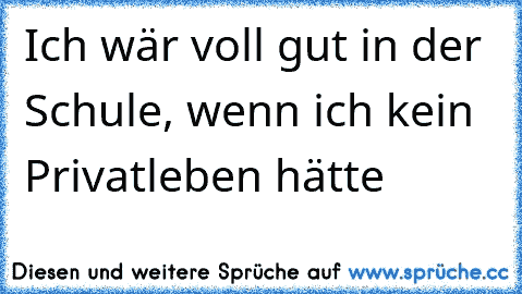 Ich wär voll gut in der Schule, wenn ich kein Privatleben hätte