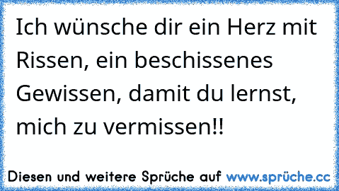 Ich wünsche dir ein Herz mit Rissen, ein beschissenes Gewissen, damit du lernst, mich zu vermissen!!