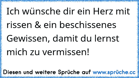 Ich wünsche dir ein Herz mit rissen & ein beschissenes Gewissen, damit du lernst mich zu vermissen!