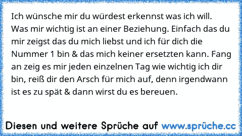 Ich wünsche mir du würdest erkennst was ich will. Was mir wichtig ist an einer Beziehung. Einfach das du mir zeigst das du mich liebst und ich für dich die Nummer 1 bin & das mich keiner ersetzten kann. Fang an zeig es mir jeden einzelnen Tag wie wichtig ich dir bin, reiß dir den Arsch für mich auf, denn irgendwann ist es zu spät & dann wirst du es bereuen.