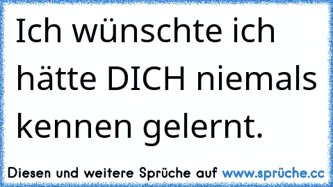 Ich wünschte ich hätte DICH niemals kennen gelernt.