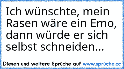 Ich wünschte, mein Rasen wäre ein Emo, dann würde er sich selbst schneiden...