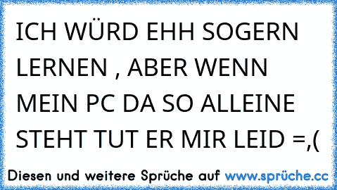 ICH WÜRD EHH SOGERN LERNEN , ABER WENN MEIN PC DA SO ALLEINE STEHT TUT ER MIR LEID =,(