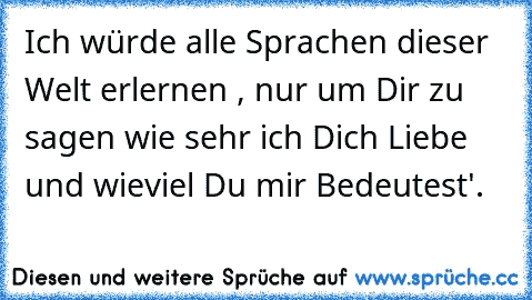 Ich würde alle Sprachen dieser Welt erlernen , nur um Dir zu sagen wie sehr ich Dich Liebe und wieviel Du mir Bedeutest'. 