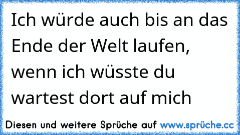 Ich würde auch bis an das Ende der Welt laufen, wenn ich wüsste du wartest dort auf mich  ♥