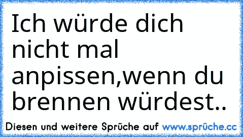 Ich würde dich nicht mal anpissen,wenn du brennen würdest..