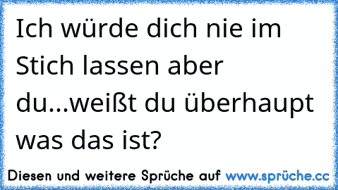 Ich würde dich nie im Stich lassen aber du...weißt du überhaupt was das ist?