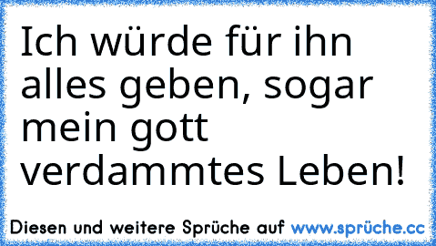 Ich würde für ihn alles geben, sogar mein gott verdammtes Leben!