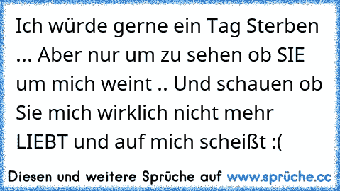 Ich würde gerne ein Tag Sterben ... Aber nur um zu sehen ob SIE um mich weint .. Und schauen ob Sie mich wirklich nicht mehr LIEBT und auf mich scheißt :(