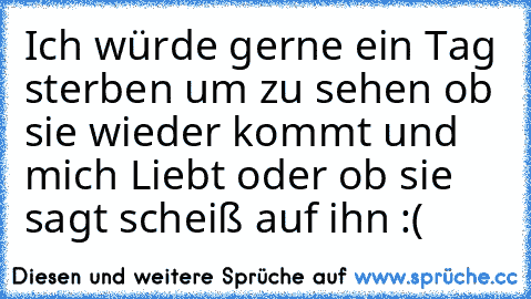 Ich würde gerne ein Tag sterben um zu sehen ob sie wieder kommt und mich Liebt oder ob sie sagt scheiß auf ihn :(