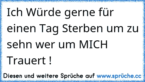 Ich Würde gerne für einen Tag Sterben um zu sehn wer um MICH  Trauert !