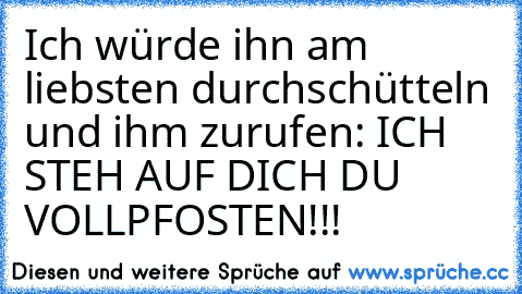 Ich würde ihn am liebsten durchschütteln und ihm zurufen: ICH STEH AUF DICH DU VOLLPFOSTEN!!!