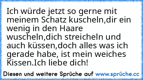 Ich würde jetzt so gerne mit meinem Schatz kuscheln,
dir ein wenig in den Haare wuscheln,
dich streicheln und auch küssen,
doch alles was ich gerade habe, ist mein weiches Kissen.
Ich liebe dich!