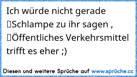 Ich würde nicht gerade “Schlampe” zu ihr sagen , “Öffentliches Verkehrsmittel” trifft es eher ;)