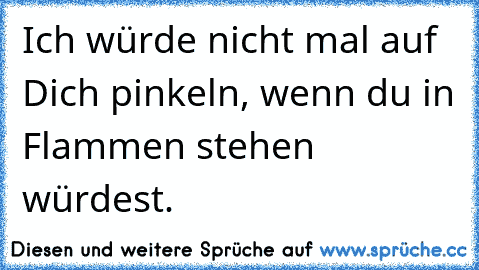 Ich würde nicht mal auf Dich pinkeln, wenn du in Flammen stehen würdest.