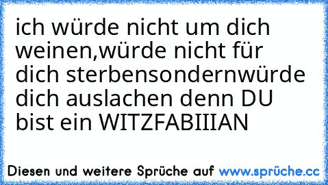 ich würde nicht um dich weinen,
würde nicht für dich sterben
sondern
würde dich auslachen denn DU bist ein WITZ
FABIIIAN