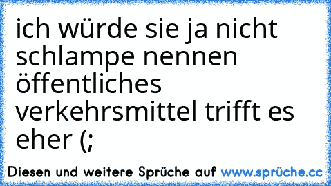 ich würde sie ja nicht schlampe nennen öffentliches verkehrsmittel trifft es eher (;