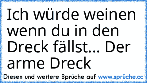 Ich würde weinen wenn du in den Dreck fällst... Der arme Dreck