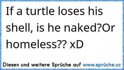 If a turtle loses his shell, is he naked?Or homeless?? xD