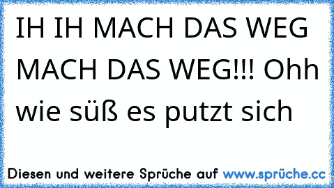 IH IH MACH DAS WEG MACH DAS WEG!!! Ohh wie süß es putzt sich