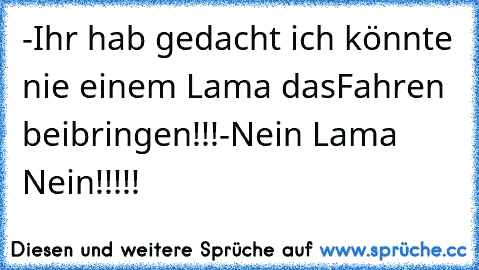 -Ihr hab gedacht ich könnte nie einem Lama das
Fahren beibringen!!!
-Nein Lama Nein!!!!!