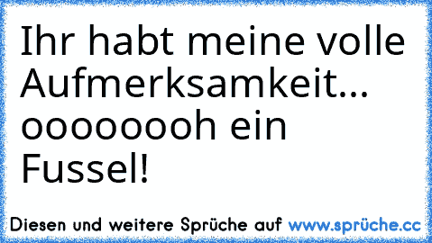 Ihr habt meine volle Aufmerksamkeit... oooooooh ein Fussel!