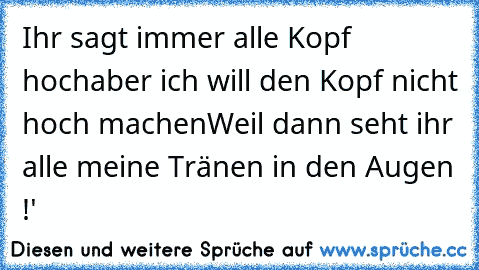 Ihr sagt immer alle Kopf hoch
aber ich will den Kopf nicht hoch machen
Weil dann seht ihr alle meine Tränen in den Augen !'