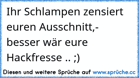 Ihr Schlampen zensiert euren Ausschnitt,
- besser wär eure Hackfresse .. ;)