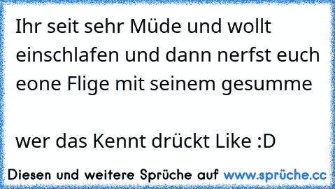 Ihr seit sehr Müde und wollt einschlafen und dann nerfst euch eone Flige mit seinem gesumme                                                            
wer das Kennt drückt Like :D