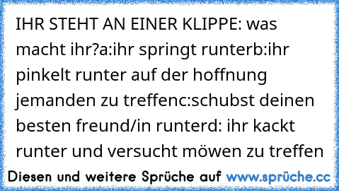 IHR STEHT AN EINER KLIPPE:
 was macht ihr?
a:ihr springt runter
b:ihr pinkelt runter auf der hoffnung jemanden zu treffen
c:schubst deinen besten freund/in runter
d: ihr kackt runter und versucht möwen zu treffen