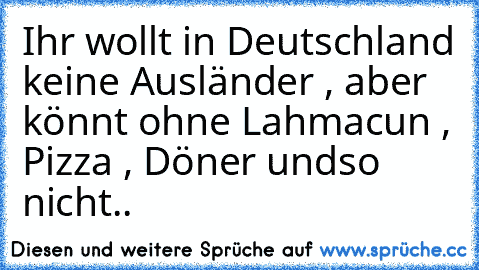 Ihr wollt in Deutschland keine Ausländer , aber könnt ohne Lahmacun , Pizza , Döner undso nicht..