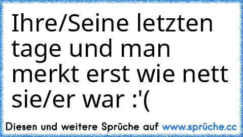 Ihre/Seine letzten tage und man merkt erst wie nett sie/er war :'( ♥