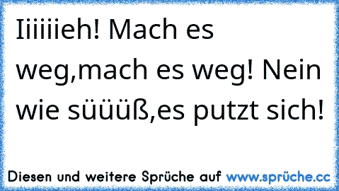 Iiiiiieh! Mach es weg,mach es weg! Nein wie süüüß,es putzt sich!