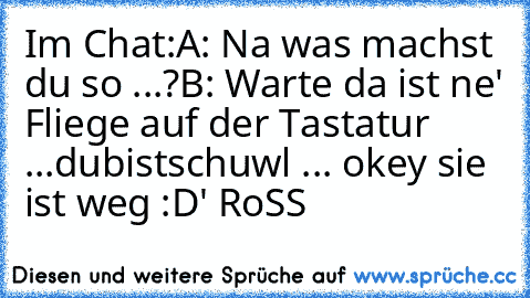 Im Chat:
A: Na was machst du so ...?
B: Warte da ist ne' Fliege auf der Tastatur ...
dubistschuwl ... okey sie ist weg :D
'♥ RoSS